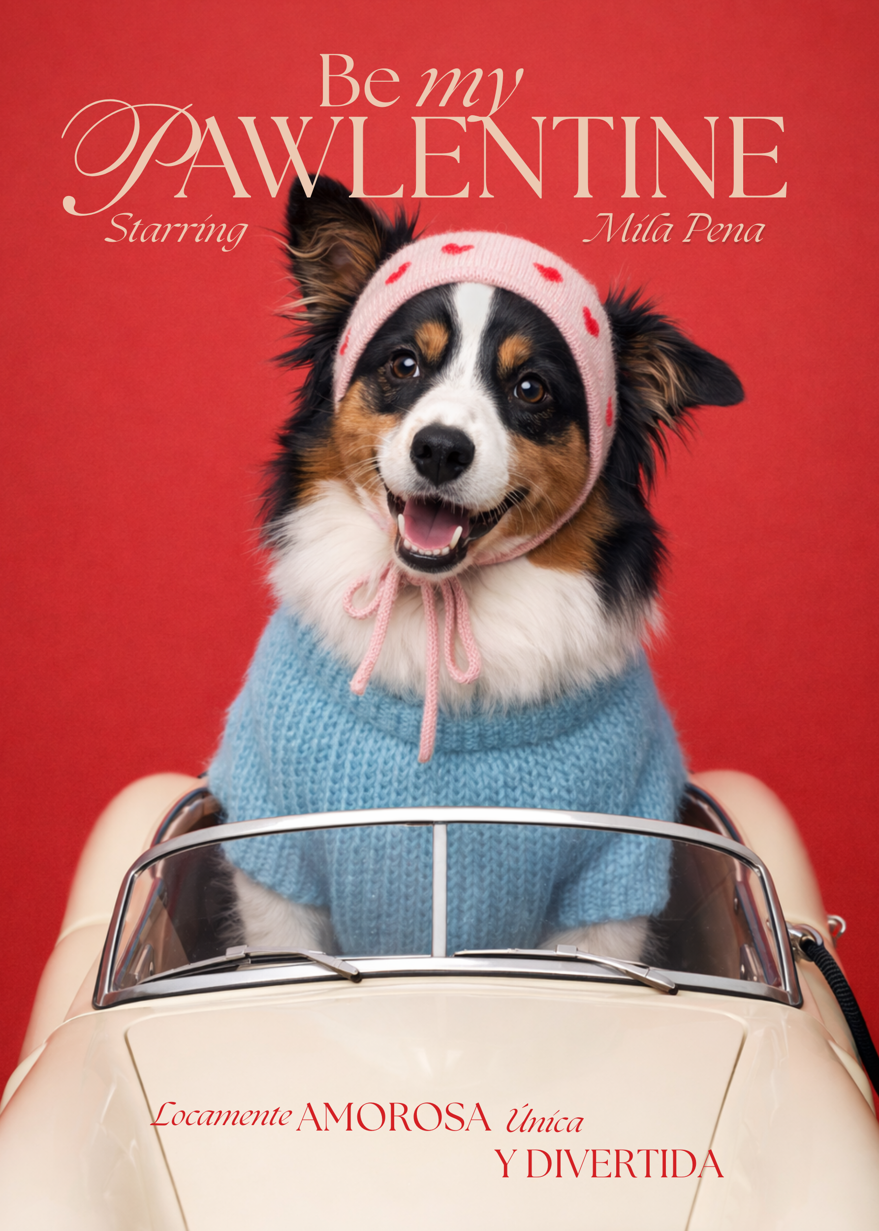 Pawlentine Póster